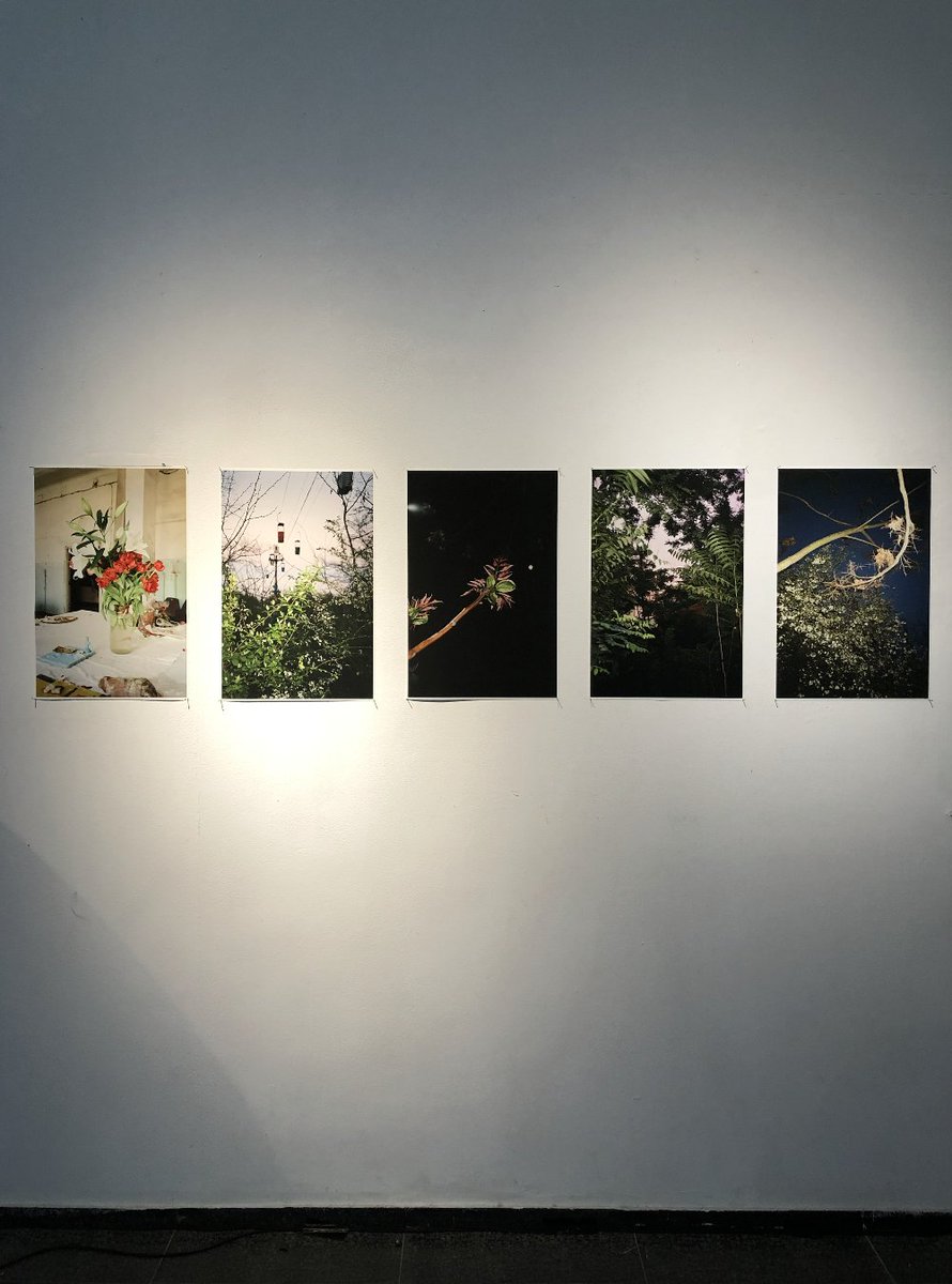 Sasha Kolodin tweet media