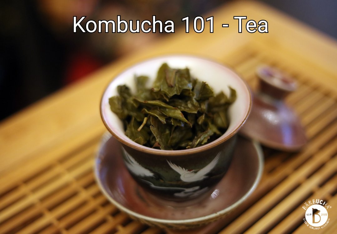 Baerbucha's tweet photo. Kombucha 101 - Tea
https://t.co/1jXeBzbfDz https://t.co/PO7S6uop3u