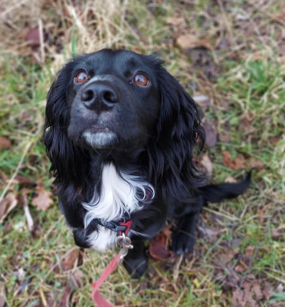 Miss Dodds tweet media