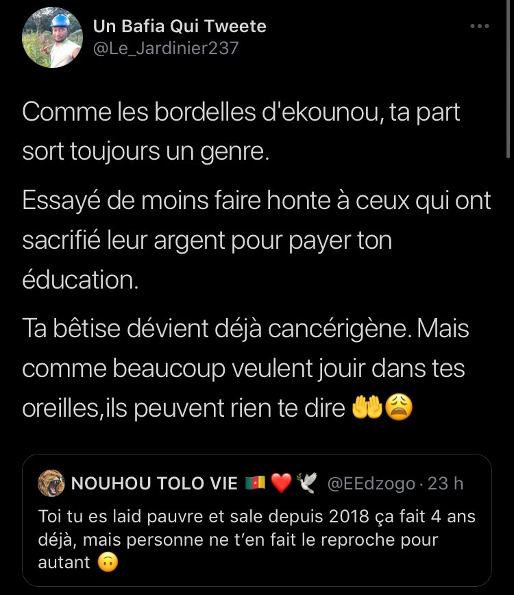 GAMAKICHI 🐺🇨🇲🇸🇳🇩🇪 tweet media