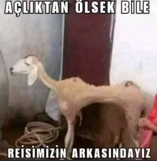 @Muhtarpaa1 @suleymansoylu @RTErdogan Aynen kanka ölümüne reis