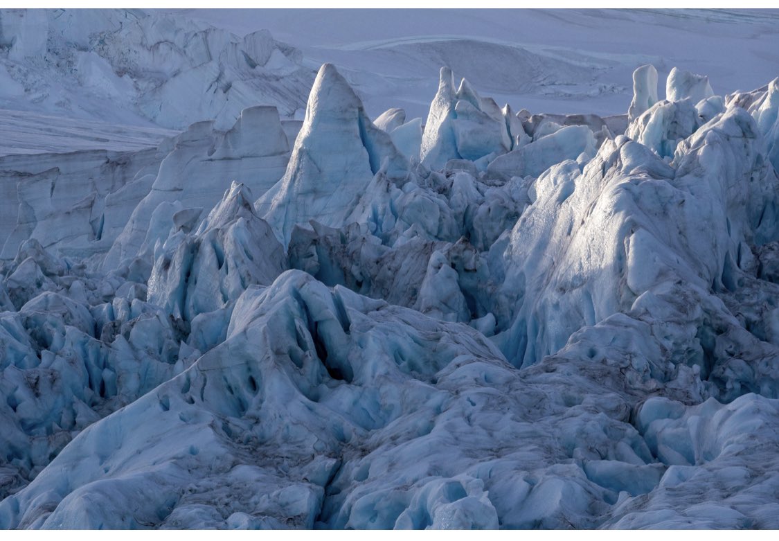 Colin Tennant tweet media