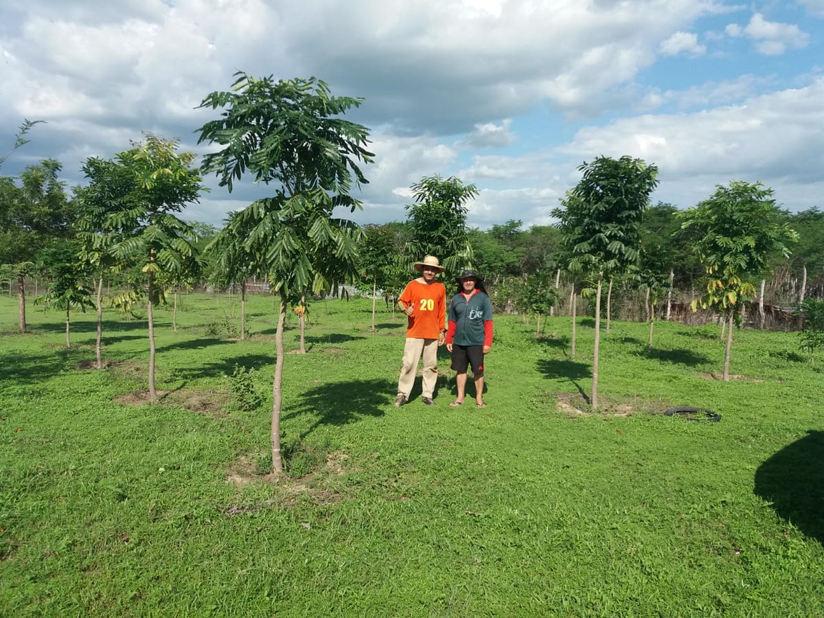 calcined_tong's tweet photo. Project update: We are studying the feasibility of green assets for NFT, our partnership with ecopense. https://t.co/dK3UITCAH0
be part of our IDO at 
@ninjaswapapp
 https://t.co/K2G9NkDsjs
Our Site: https://t.co/R7fSmJh4S4
#WEB3  #blockchain  #dapps #DeepLearning https://t.co/IRaZVa5ANA