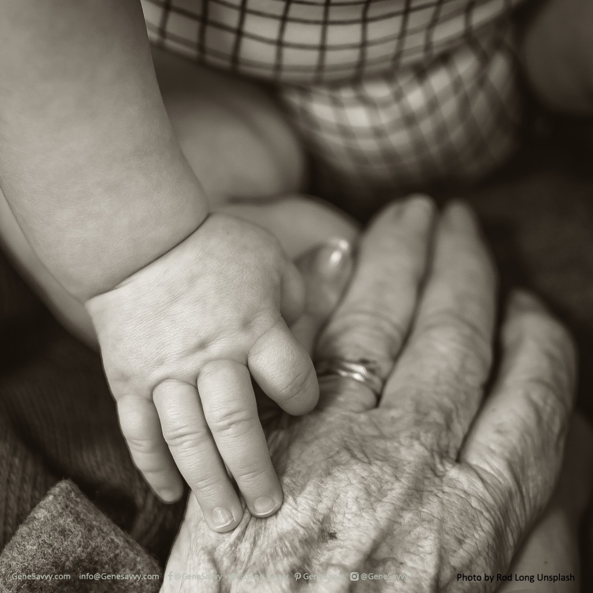 Gene_Savvy's tweet photo. Examining your genetics to discover more about the root cause of various health conditions and risk profiles can help you and the ones you love live longer and happier. 🧡💙🧡

#GetSavvy #GeneSavvy #DNA #sequencing #genetics #genes #personalizedmedicine https://t.co/mGxxEL7JKz