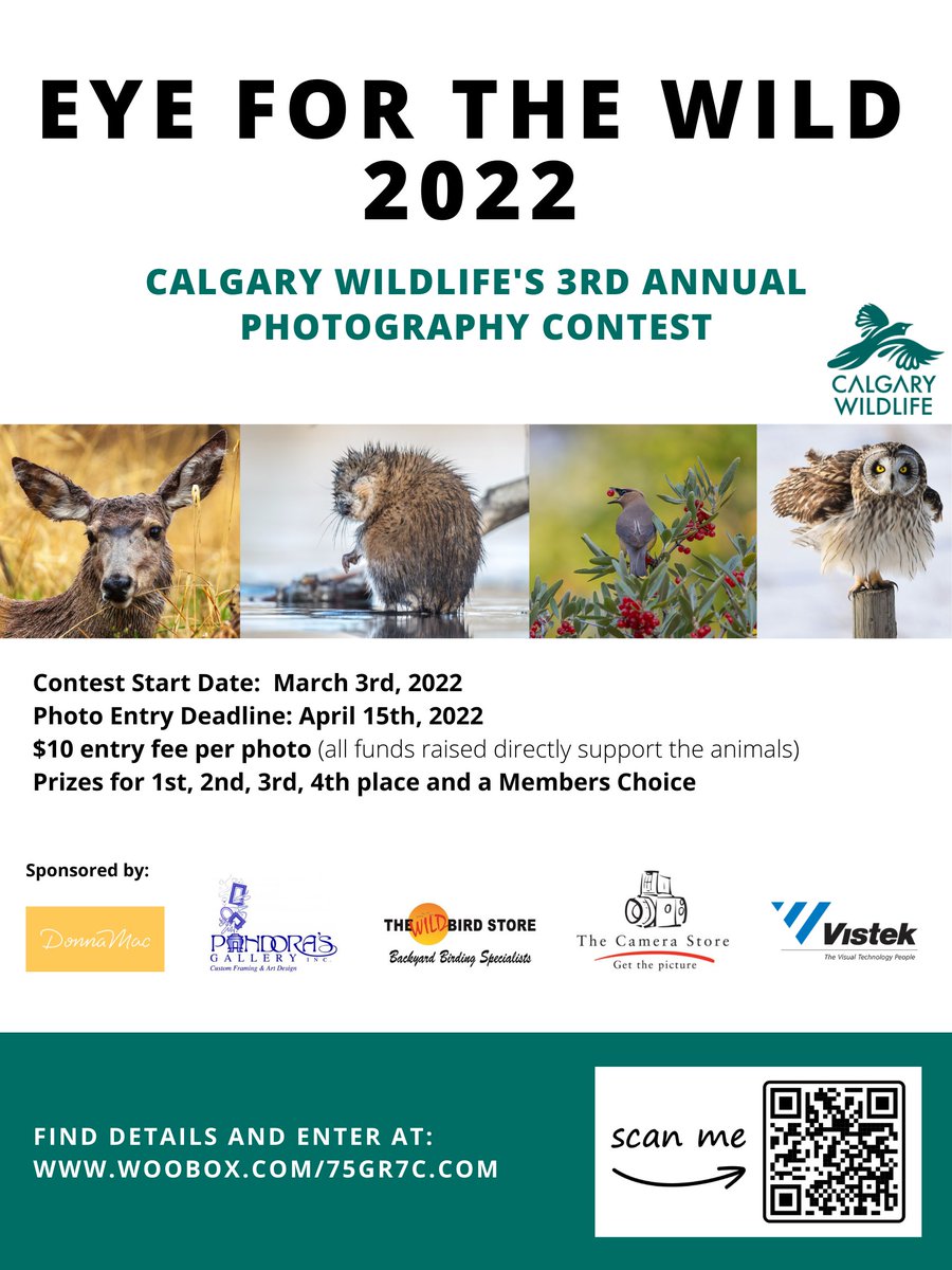 Today is #WorldWildlifeDay and we're celebrating by kicking off our 3rd annual photography contest. See full contest details here: woobox.com/75gr7c Huge thank you to this year's sponsors @donnamacyyc @vistek @WildBirdYYC @thecamerastore and Pandora's Gallery. #WWD2022