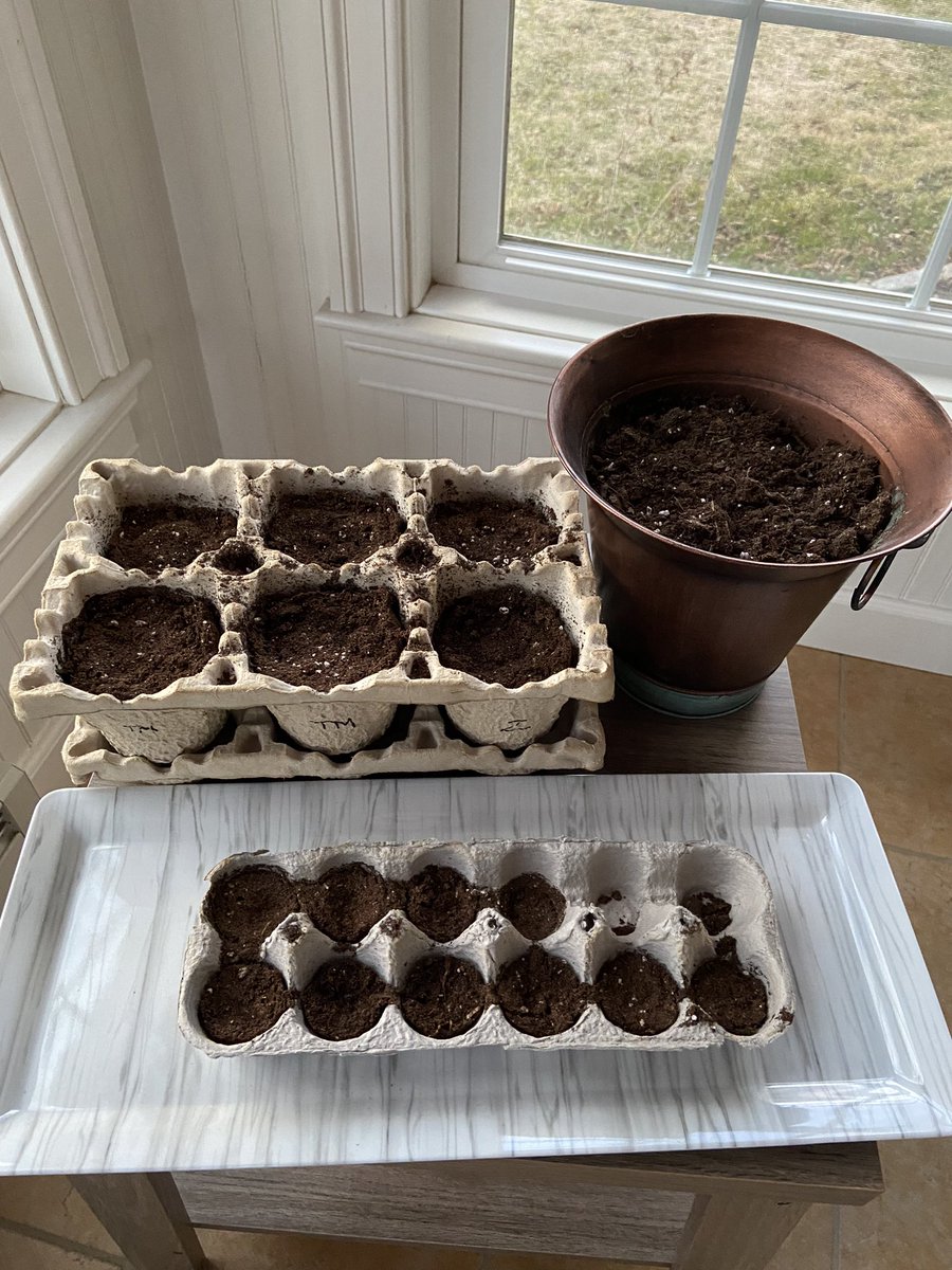Lesliegunn25's tweet image. So it begins 🙌 gonna go ahead and apologize now for all the gardening pics I’ll be posting this year 😇 first full spring in our new home so it’s on! #gardening #seedstarters #readyforspring #veggiesforeveryone