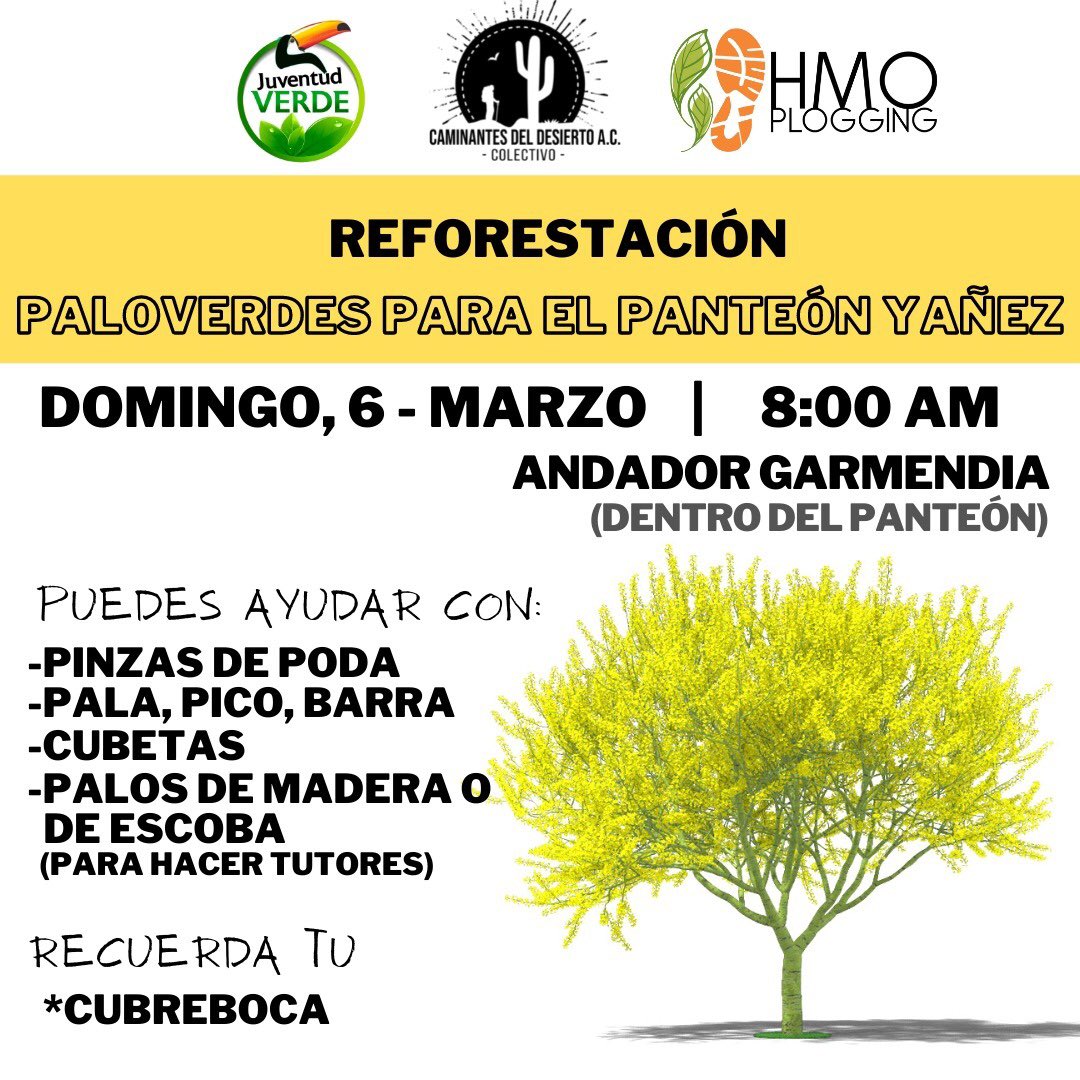 plogging_hmo's tweet photo. Los esperamos el próximo domingo 6 de marzo a las 8 am en el panteón Yañez https://t.co/OdmAb5uamv