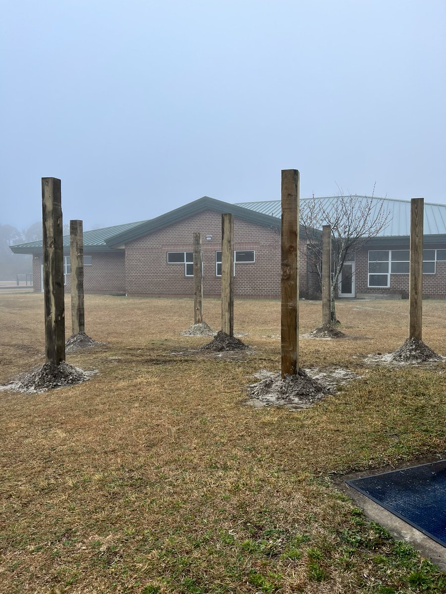 Stephanie Jones 🇺🇸 tweet media