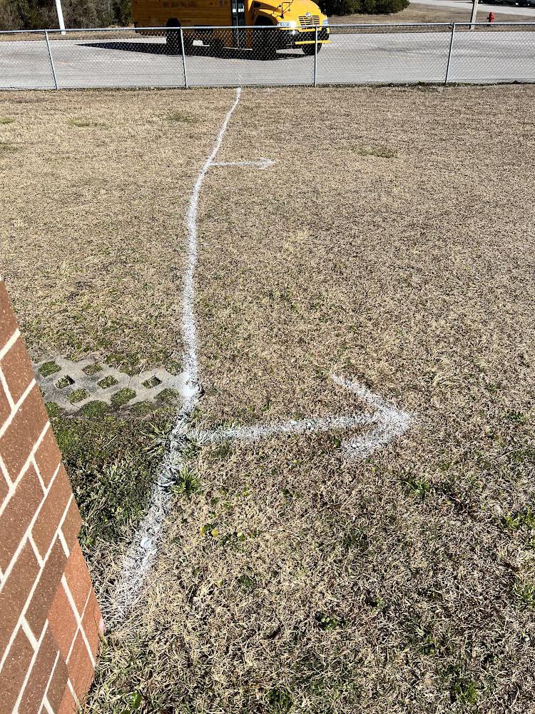 Stephanie Jones 🇺🇸 tweet media