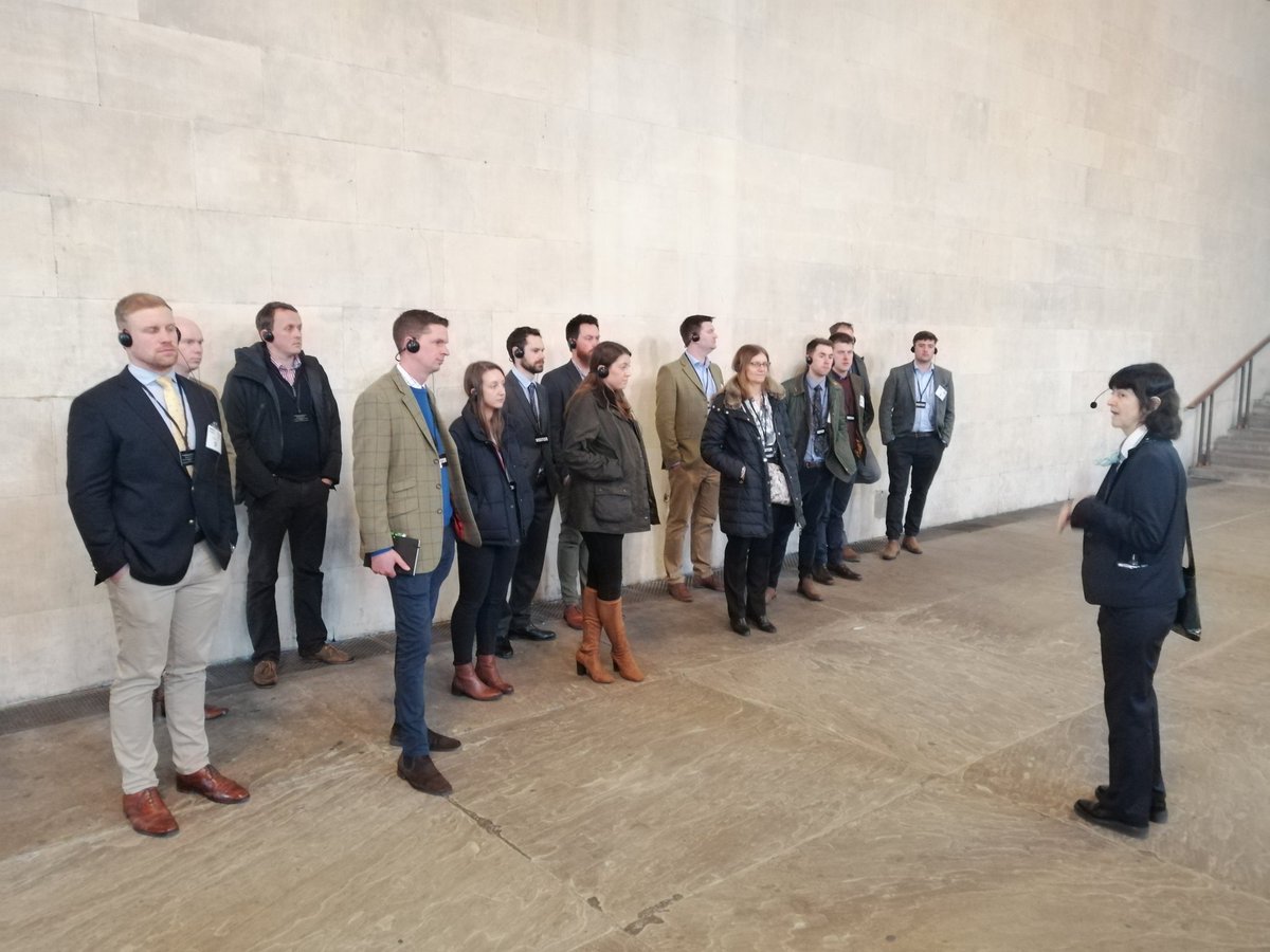 Allie Hesketh tweet media