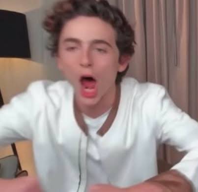 timmy__chalamettt (@_Lynnn___) | Twitter