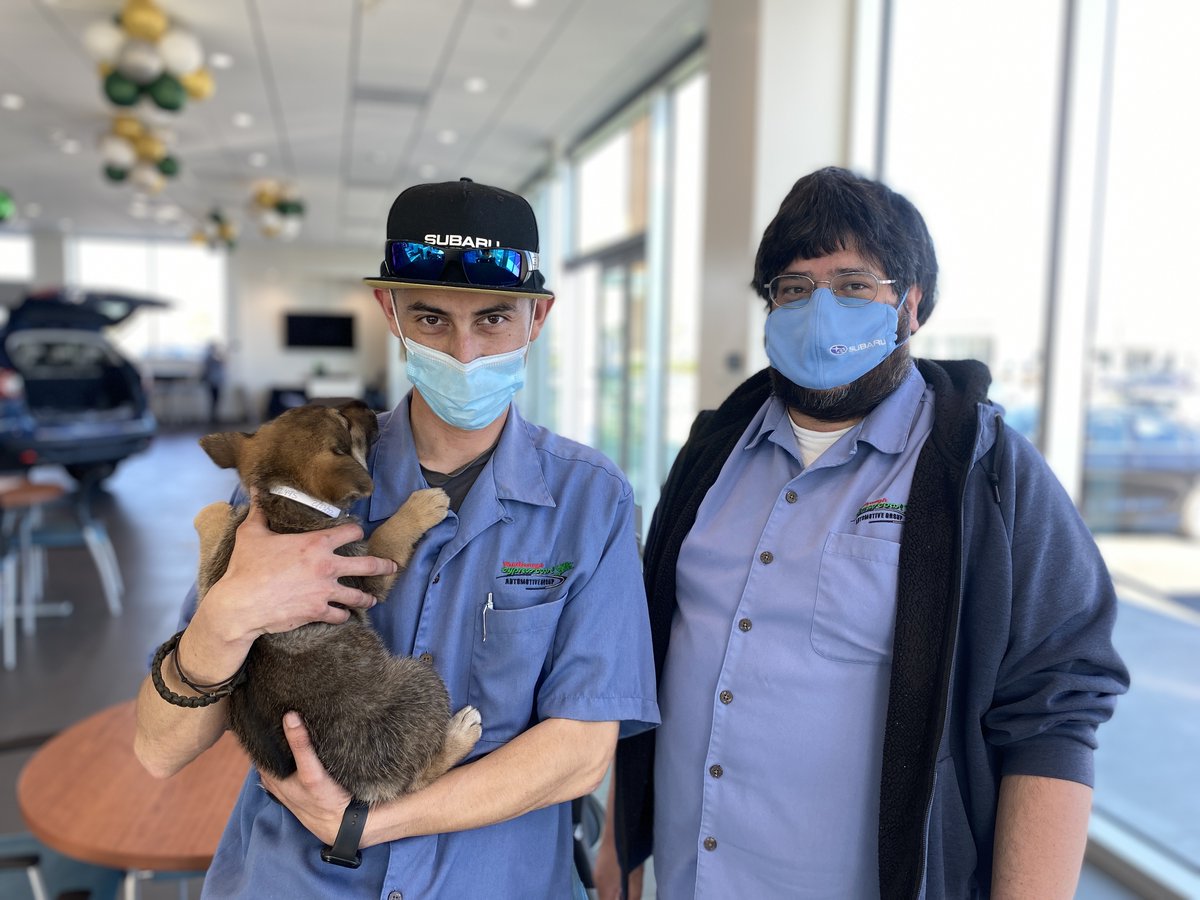 SPCAmc's tweet image. We are offically 1 week away from our Day of Giving event, Thursday March 10th! Watch @KSBW_8, Central Coast ABC, &amp;amp; Estrella TV  from 6 am - 8 pm and see how your donations help animals in Montery County. Thanks to Cypress Coast Subaru for being a sponsor!  #spcamc #dayofgiving