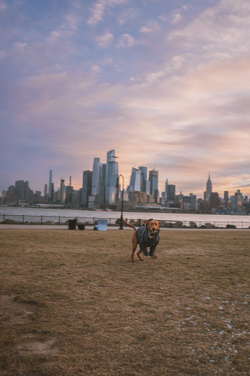 Instagram vs Twitter