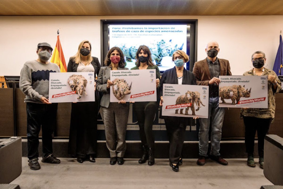 ⚫APDDA, Humane Society Internacional y la Fundación Franz Weber, instan a prohibir el comercio de 'trofeos de caza' en España

¿Sabías que España es actualmente el segundo mayor importador de trofeos de vida silvestre de la Unión Europea?

<a href="/apdda/">APDDA</a> <a href="/ffw_es/">Fundación Franz Weber</a> 
apdda.es/2022/03/apdda-…