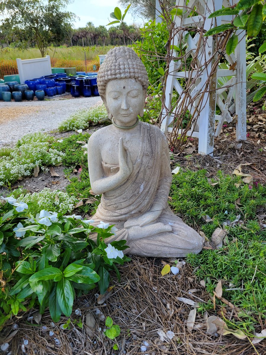 Moving into March, looking forward to a peaceful month ahead with #Spring on the horizon. We have a wide variety of #Buddha's, come explore with them In The Garden and add a bit of #zen to your outdoor spaces ✨  rswalsh.com/garden-center/

#paradise #swfl #captiva #sanibel #ftmyers