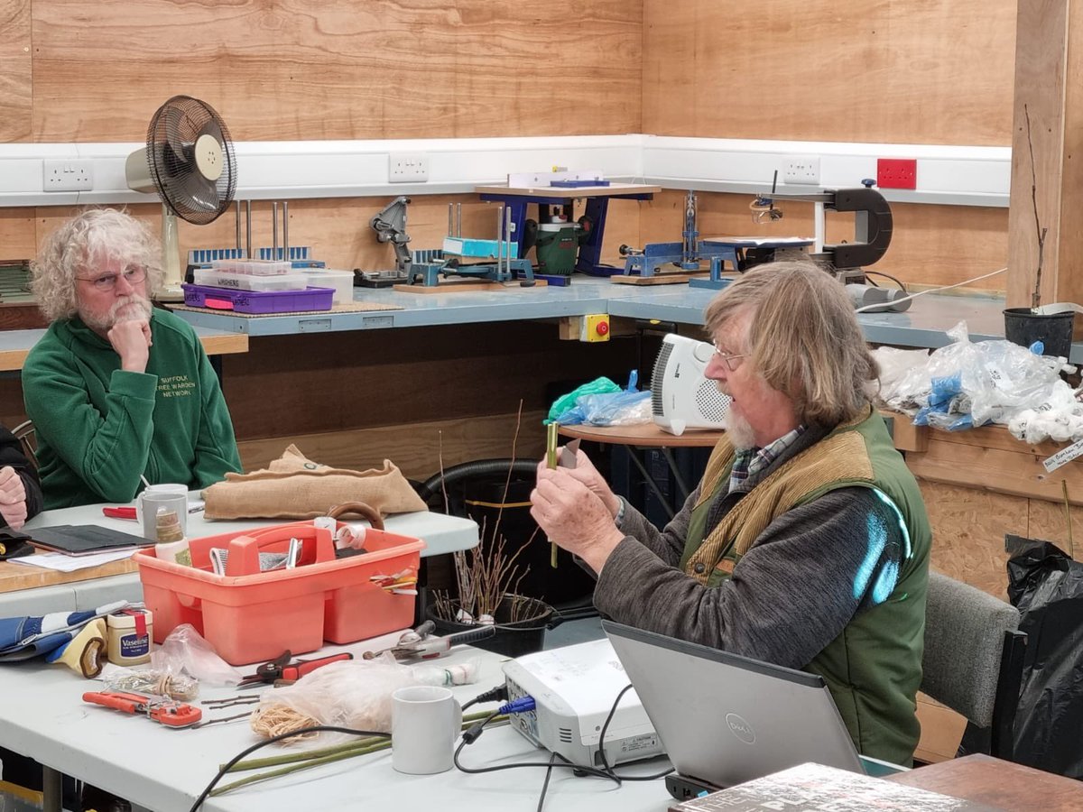 SuffolkTrees's tweet image. #TreeWarden training: grafting course. We are looking to expand our #CommunityTreeNurseries to include traditional orchard species. Thanks to Paul Read STOG &amp;amp; Celia Boyle for great instruction &amp;amp; hosts Debenham Shed, 2Fields @SuffolkBIS @TreeCouncil @greensuffolk