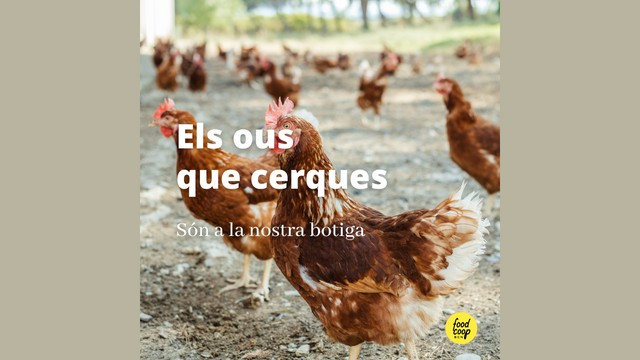 FoodCoopBCN's tweet photo. 🥚 A #FoodcoopBCN tenim #elsousquebusques.
💚Lliures de gàbies, colorants i antibiòtics.
🐓Amb molt de sol i terra disponible per a gallines alimentades de forma ecològica.
🌟Descobreix els ous lliures de #macrogranges.
#loshuevosquebuscas #macrogranjas https://t.co/37lgULd3aE