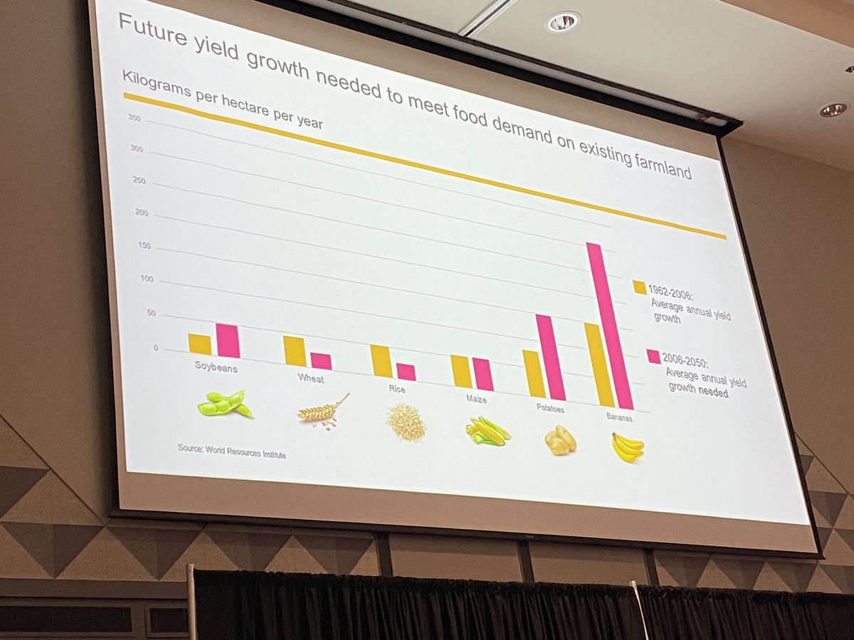 DrJtotheMastro's tweet photo. Focus on regenerative agriculture to increase soil health, productivity, reduce climate impact —@Syngenta’s @EFyrwald #FutureofFood @FSI_UF_IFAS https://t.co/GqX421MYBn