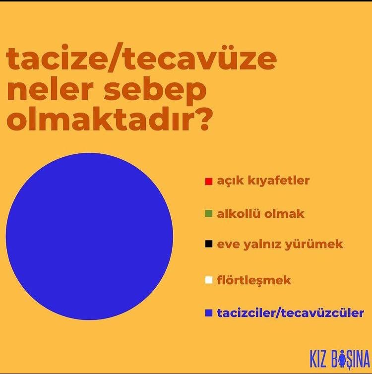 Kız Başına (@kiz_basina) on Twitter photo 