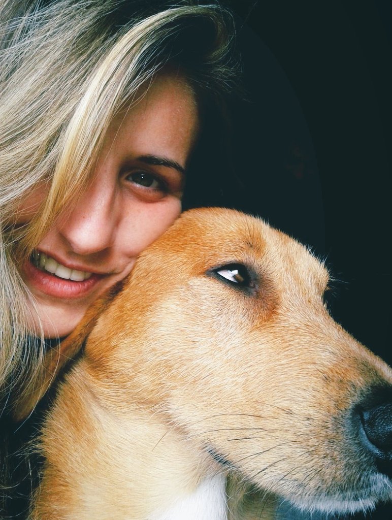 susana85's tweet image. Así llegó Rudolf a casa. Pequeñito, un pasota total para ser un cachorro😅. Lo adopté para que hiciera compañía a mi otro amor, Ikran. No iba a crecer, me dijeron. Ha sido la mejor mentira que me han contado nunca😍#NoCompresAdopta #mascotas #perros