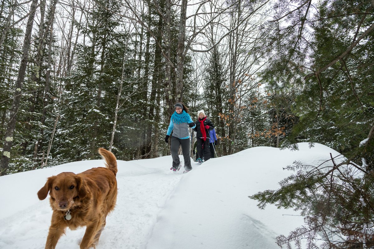 A cute outing in the Northwoods. ❤️ ❄️ 

#eagleriverwi #snowshoeing #northwoods