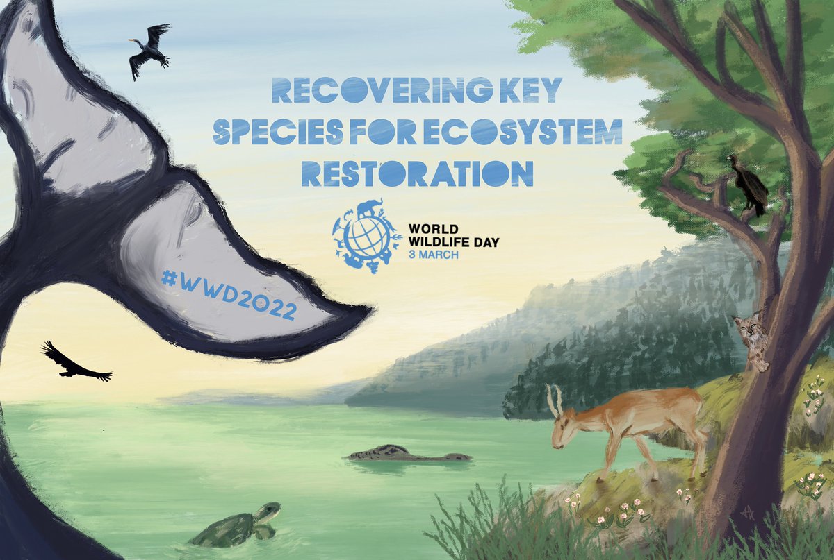 BirdsCanada's tweet image. Today is #WorldWildlifeDay! The 2022 theme is “recovering key species for ecosystem restoration” so we’re featuring some of Canada’s bird species at risk and the landscapes they call home. (Design by Alice Kirby) #WWD2022