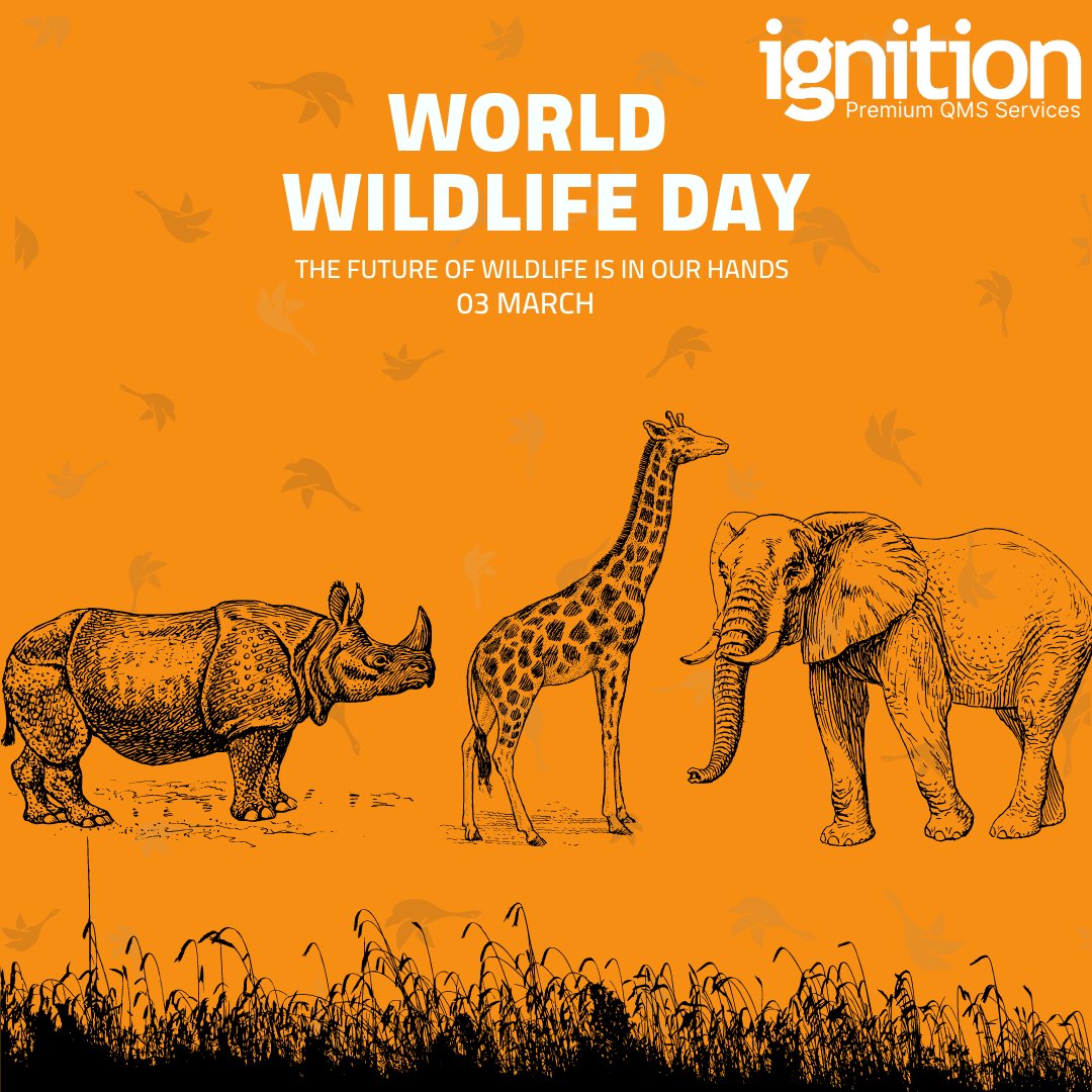 IgnitionLife's tweet photo. Happy World Wildlife Day everyone, This year's theme is "Recovering key species for ecosystem restoration." Today aims to raise awareness for some of the world's most endangered wildlife and flora.
Find out more at:
https://t.co/GQUXxxFb6K https://t.co/vC9S3qvT4n