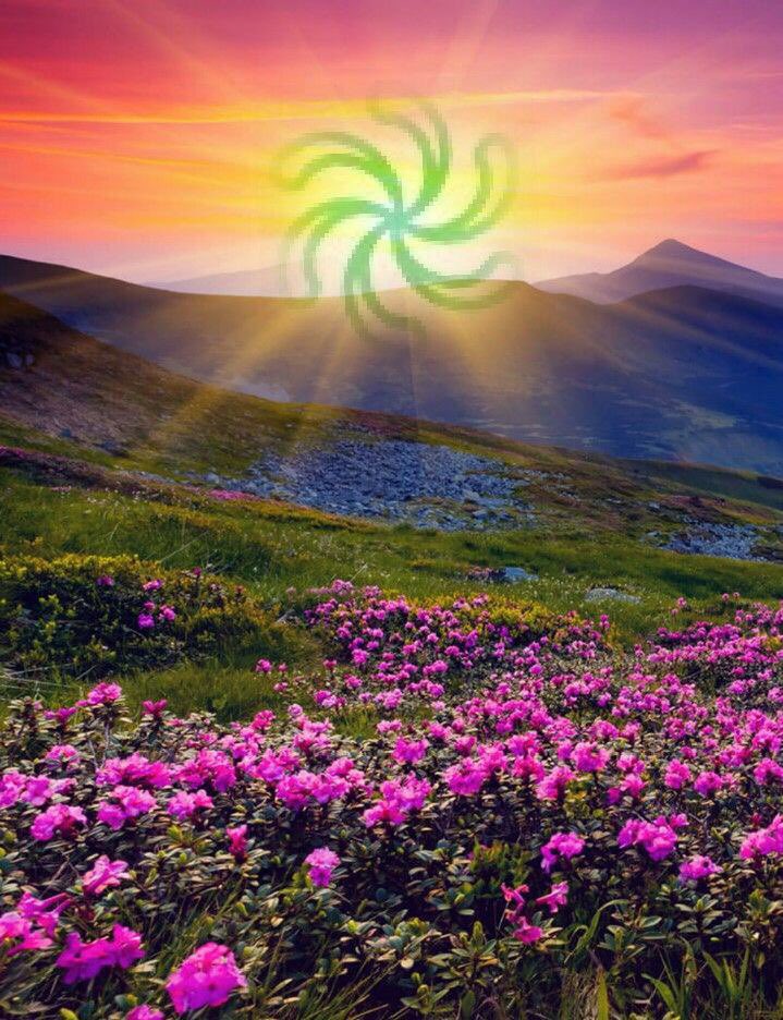 Rapids Outreach tweet media