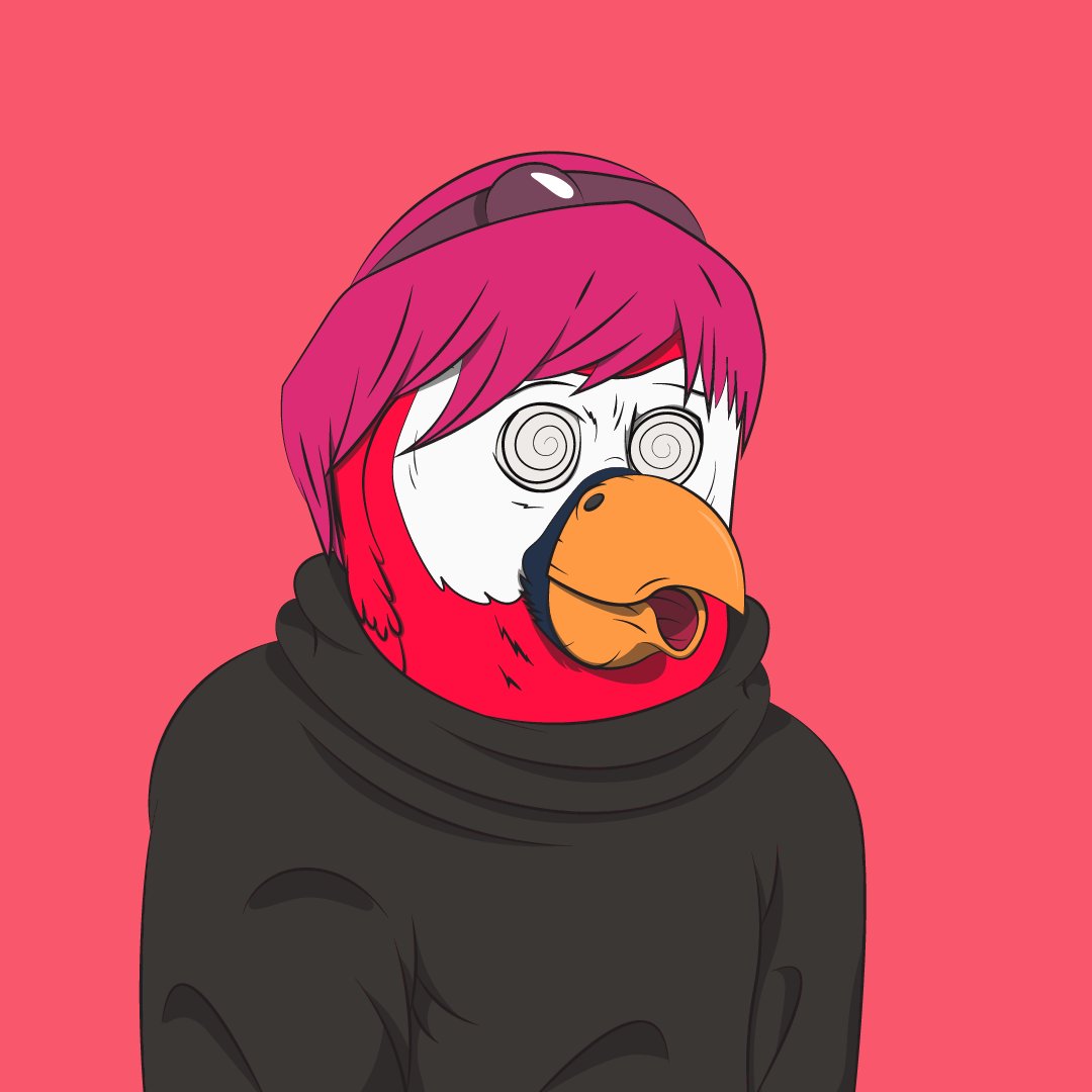 Bored Macaw Sol Club tweet media