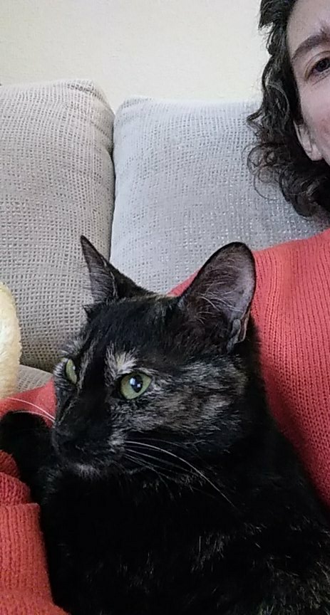 mamanuska's tweet image. Título de la foto: "La gatita sobaquera" 😍
#gaternidad #animales #carey #díadelluvia #sofáymanta