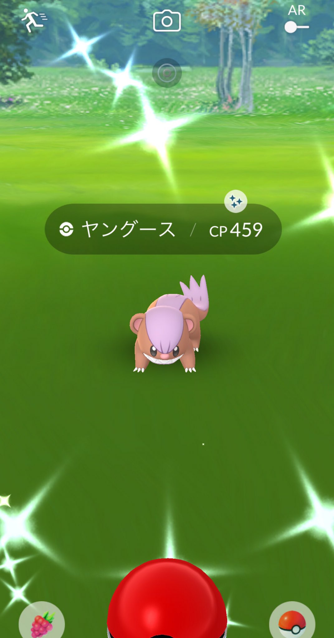 ヤングース色違い Twitter Search Twitter