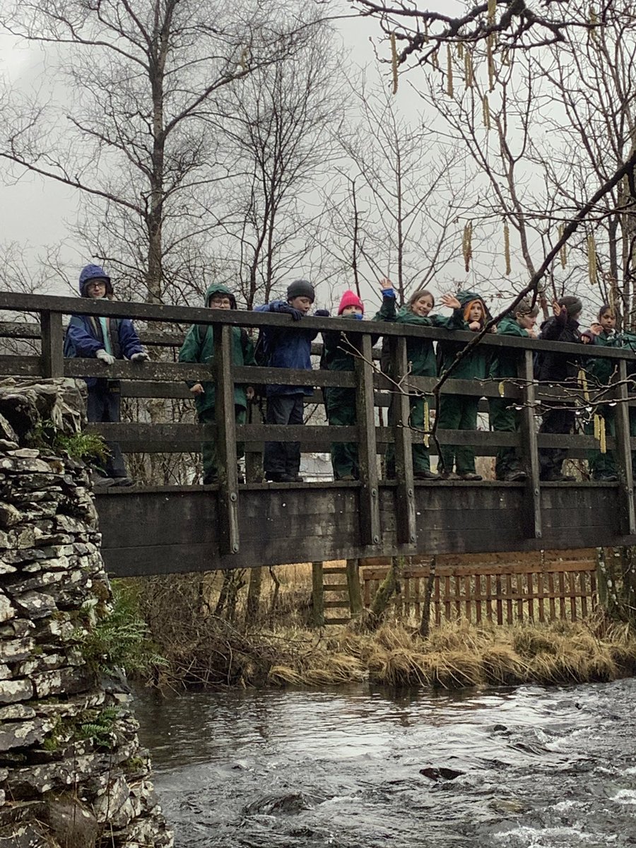 PPTowerWood's tweet photo. Pooh sticks and nature quizzes. https://t.co/haOMSMVWxV
