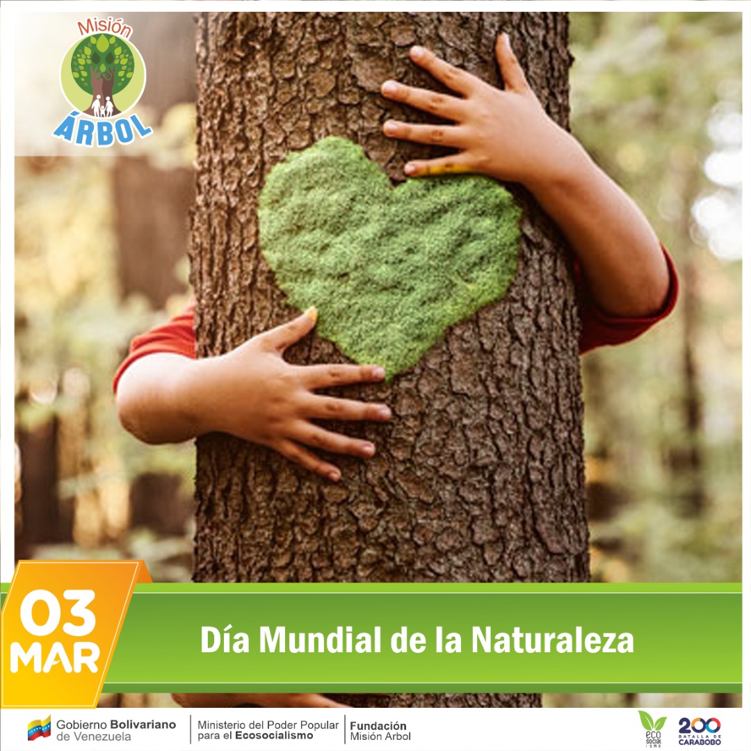 @Daniel_zulia (@dani_zulia) on Twitter photo 