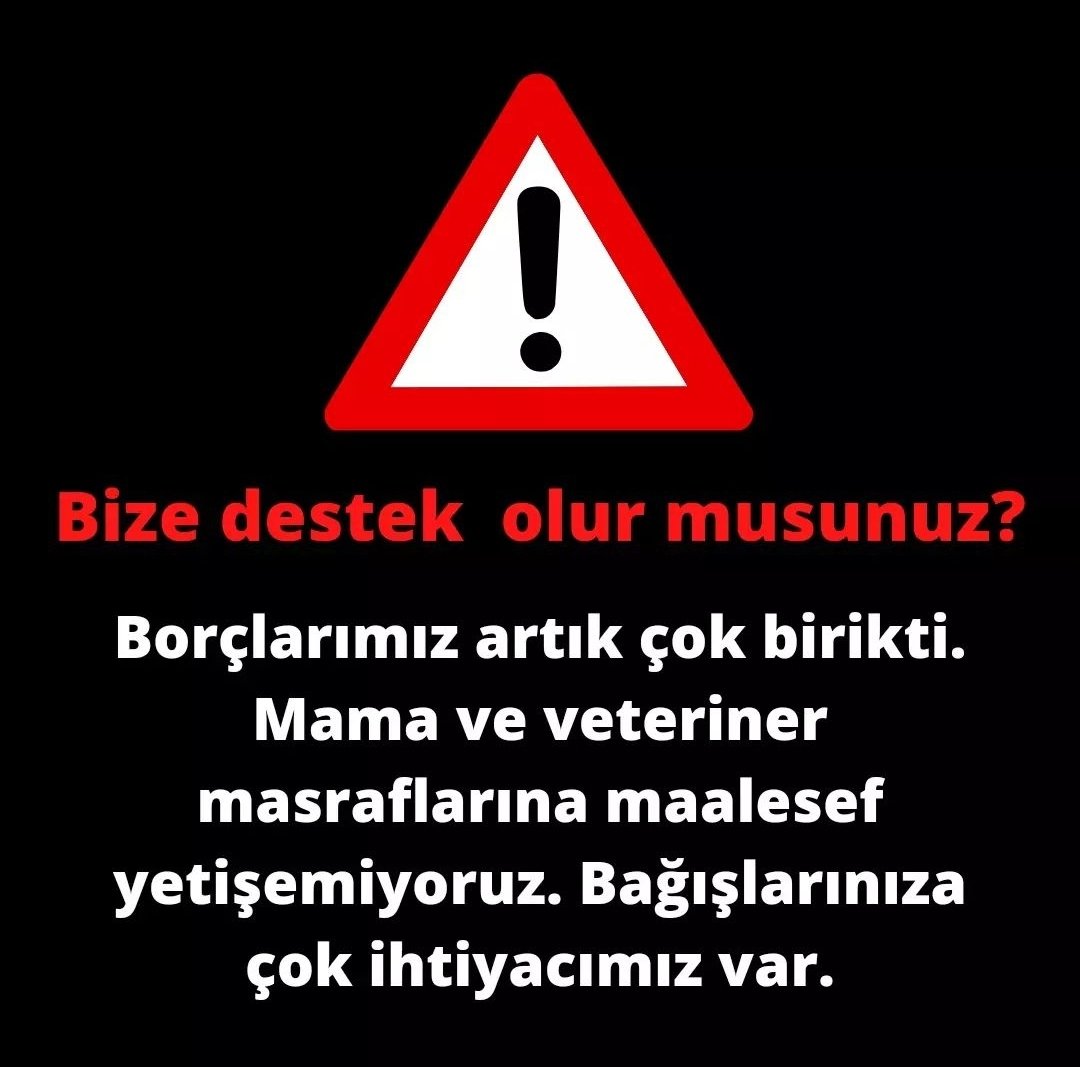 Artan mama fiyatları ve veteriner borçlarımız nedeniyle maalesef artık masraflara yetişemiyoruz. Kampüsteki dostlarımızın düzenli beslenip veteriner ihtiyaçlarının karşılanabilmesi için bağışlarınıza çok ihtiyacımız var. 
Destek olmak isterseniz DM yolu ile bize ulaşabilirsiniz🙏🏻