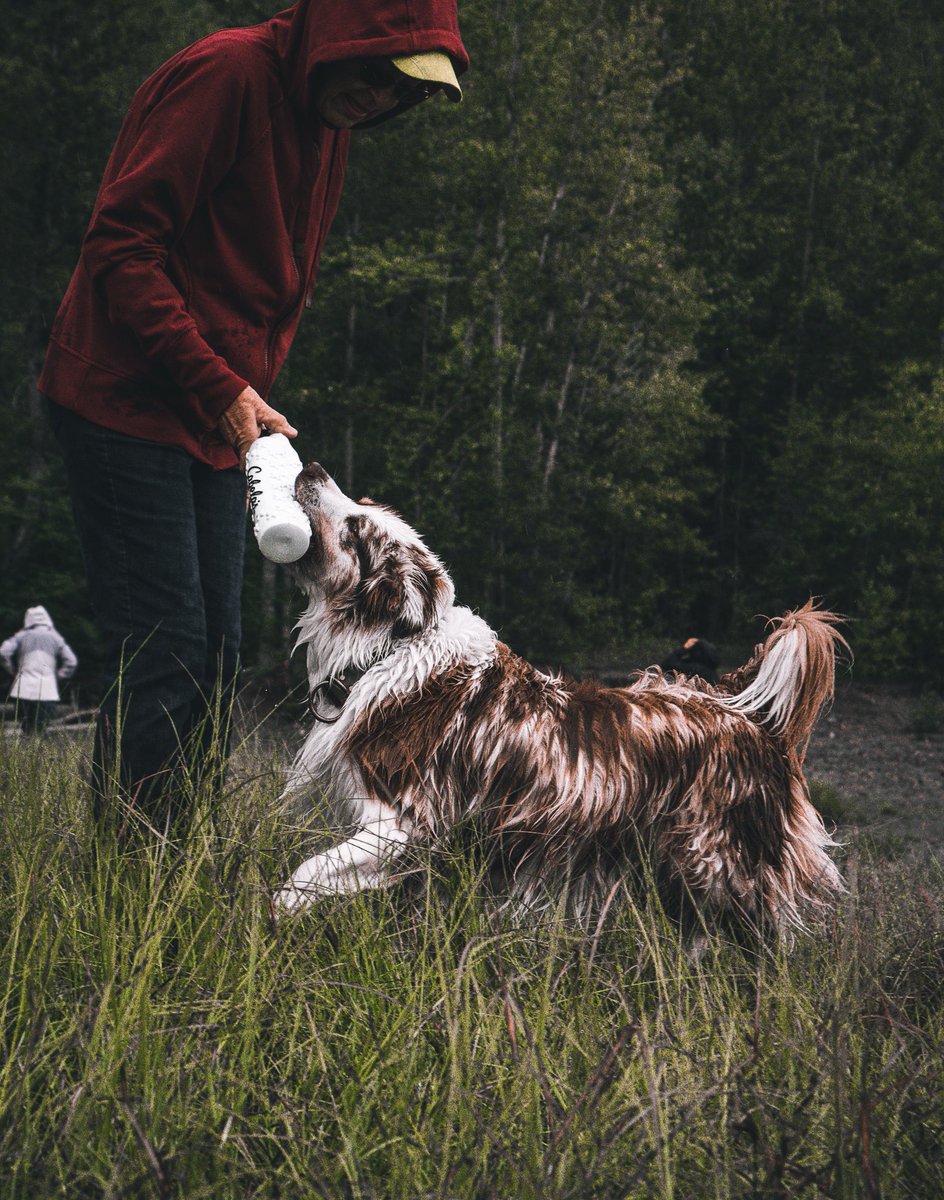 Chinook and Emily tweet media