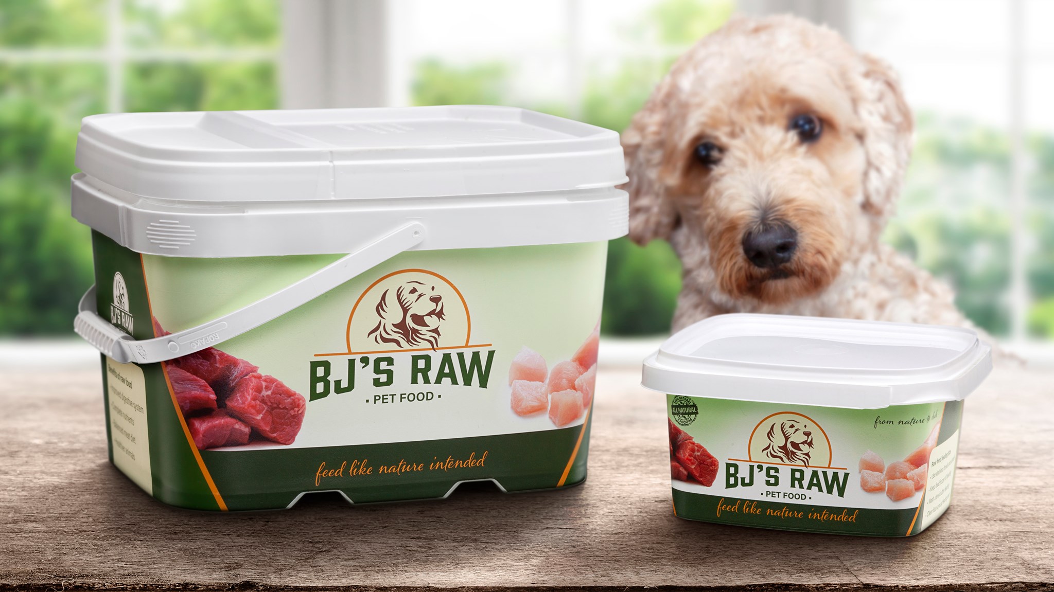 Berlin Packaging on Twitter "We surveyed five Berlin Packaging dogs