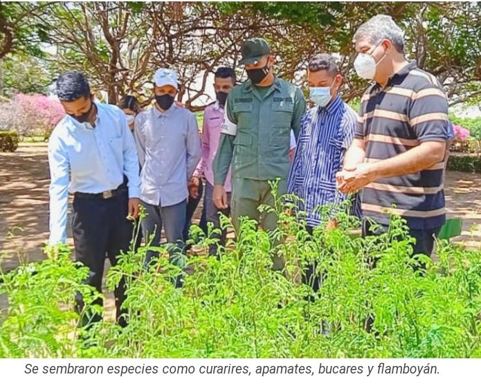 #Juntos hacemos + cuidemos nuestros árboles por +Árboles 🌱🌳+Vida