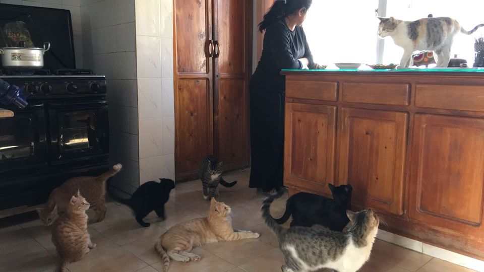 meeran_pk's tweet photo. I'm 50! Leaving Home!
To know why, follow me on Instagram and Facebook
#emptynesttraveller #solotravel #solotravelling #PehchanPakistan #MereLog #emptynester #emptynesterlife #GTRoad https://t.co/sl5H6daWT1