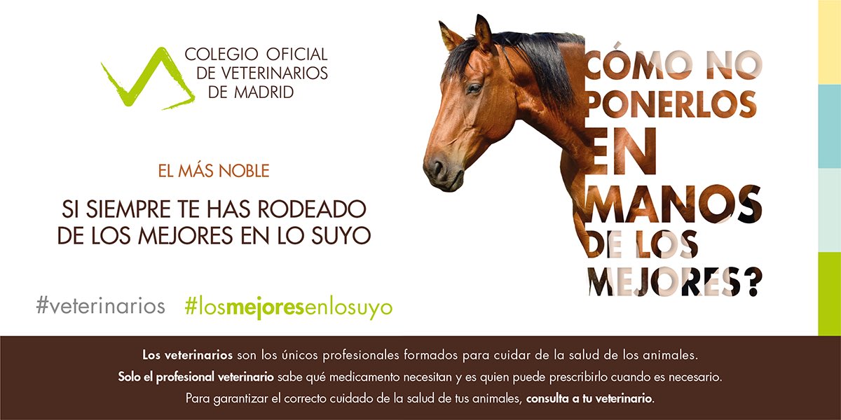 #SabiasQue… Solo el profesional veterinario sabe qué medicamento necesitan nuestros animales y es quien puede prescribirlo cuando es necesario?

Si nuestros animales son #losmejoresenlosuyo, ponlos en las mejores manos.

#veterinarios