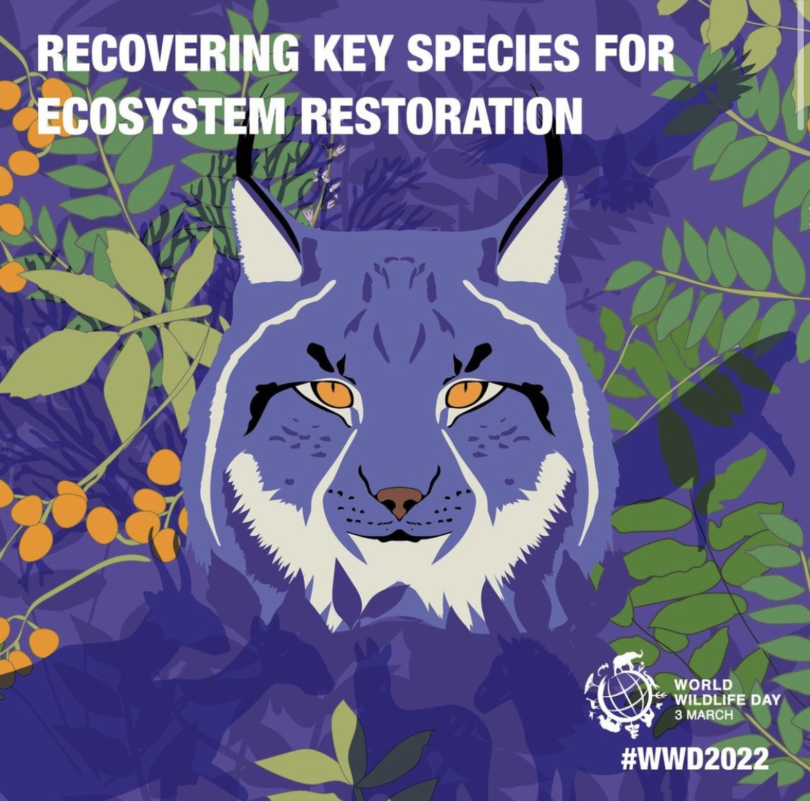 Happy #WorldWildlifeDay! Today, let us not only celebrate the magnificent life on our planet, but also remember we must fight to conserve it through research, education, and activism. Together, let’s make a difference. 

#WWD2022 #RecoverKeySpecies #wildlife