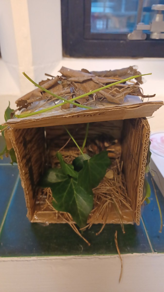 Limpsfield_Inf's tweet photo. We also announced the winner of our Book Nook competition. All the winners received a book voucher to take home. https://t.co/ldf5wPfZEC