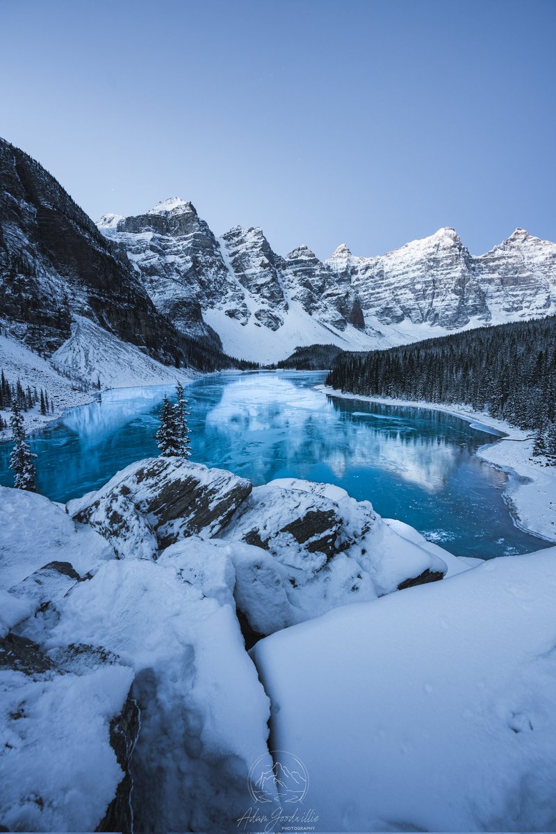 Adam Goodwillie tweet media