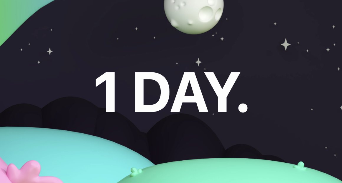 Bokun Geckos tweet media