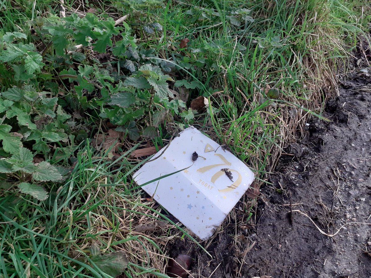 Old enough to know better, you'd think!