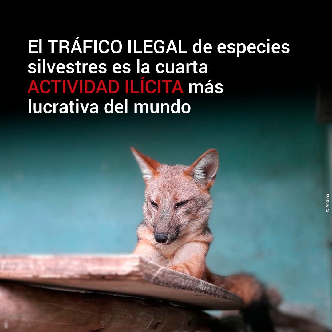Por Dónde Empiezo tweet media