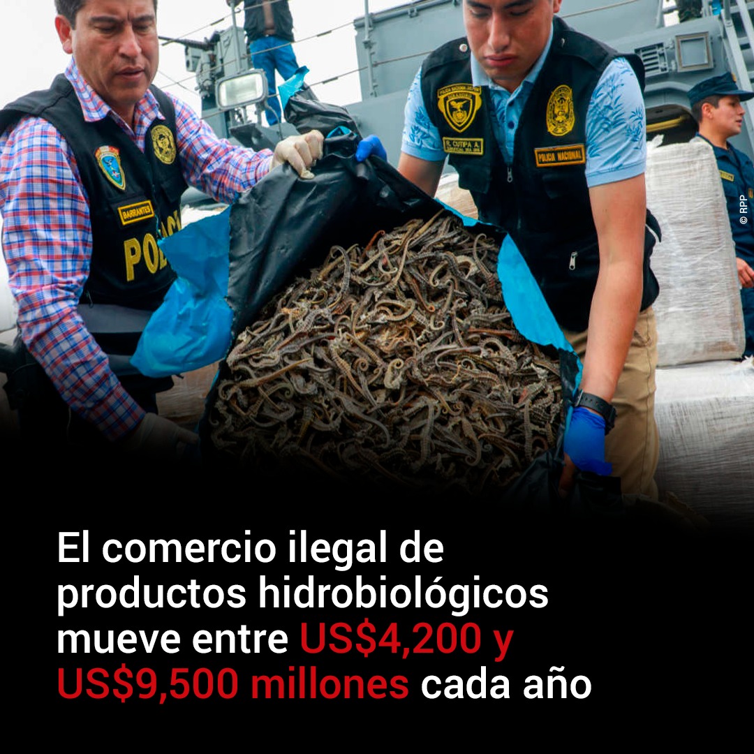 Por Dónde Empiezo tweet media