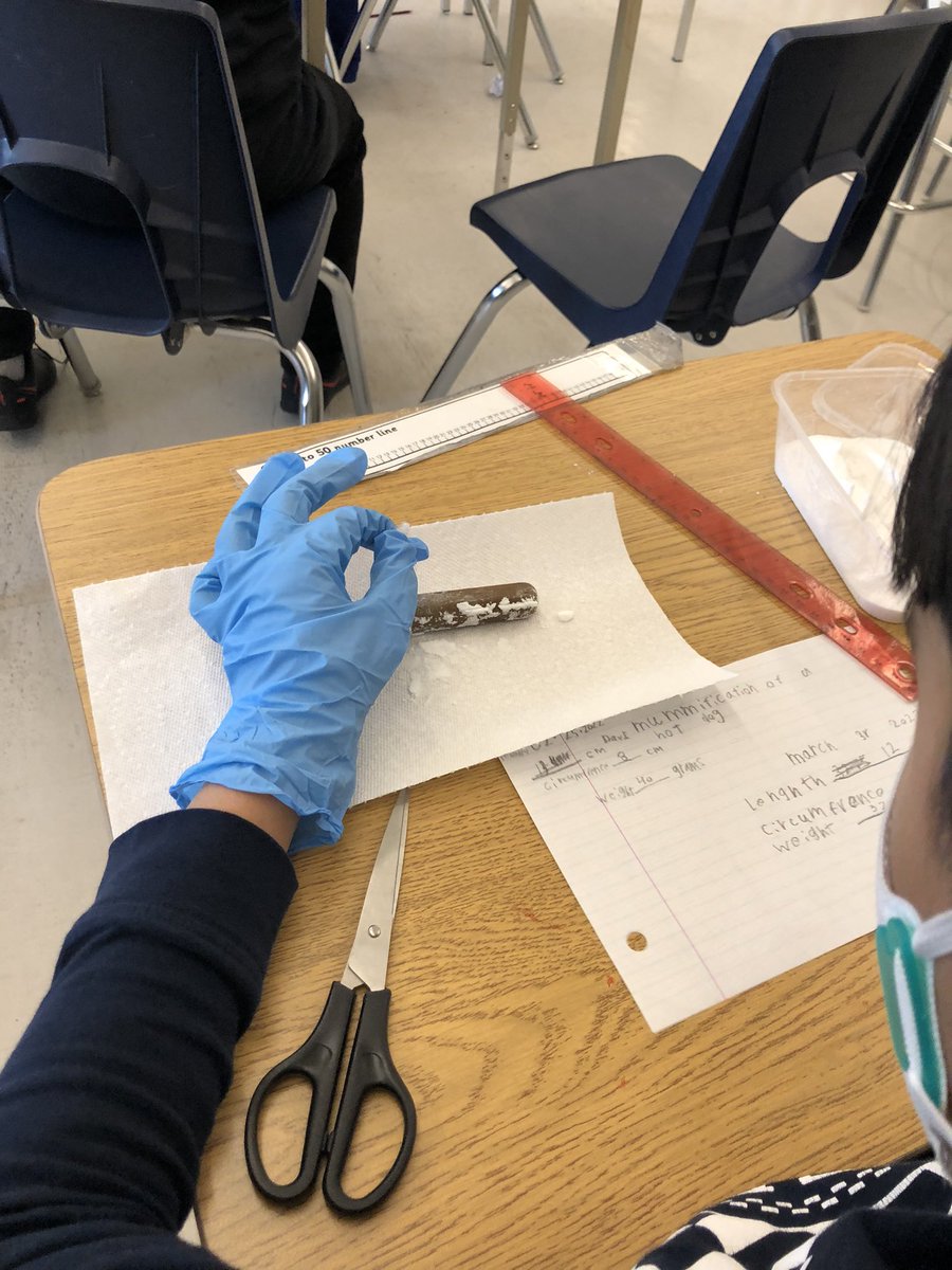 Ann-Marie Parsons tweet media