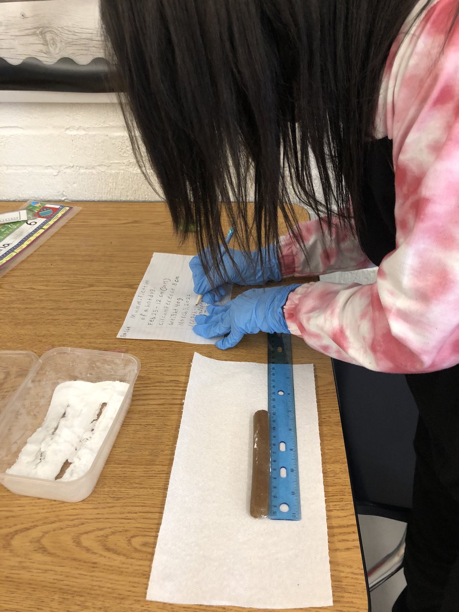 Ann-Marie Parsons tweet media