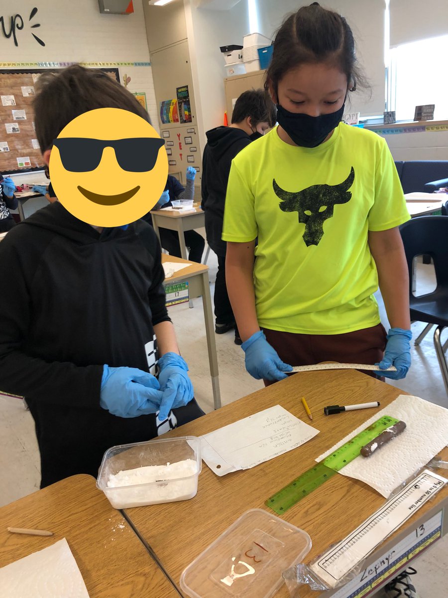 Ann-Marie Parsons tweet media