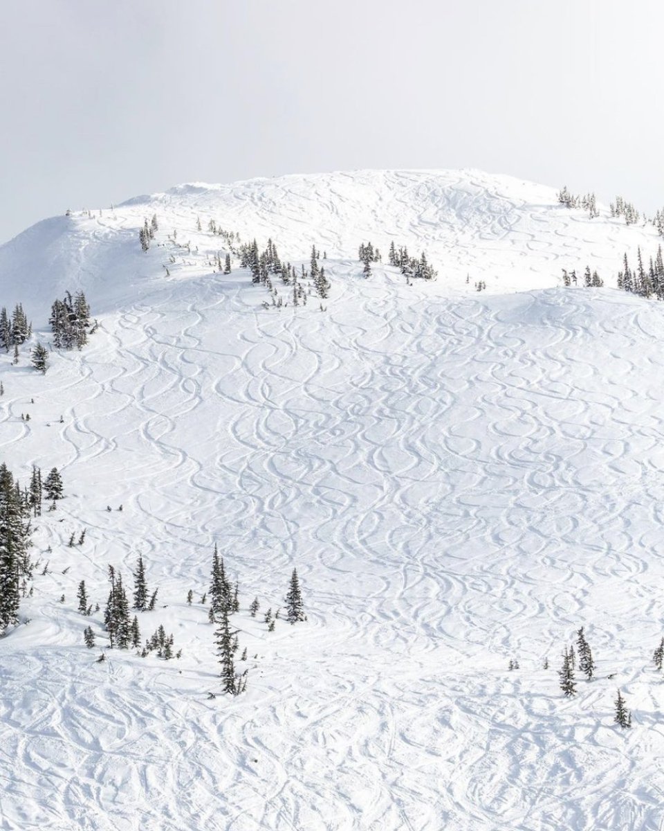 eludetoday's tweet photo. Making the most of ski season 📍 British Columbia by @simonhavenhand
Throw a ☃️ in the comments if you’ve been out on the slopes recently! https://t.co/nkY0xk9W8A